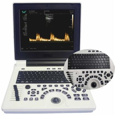 کیفیت  12in LCD Display Veterinary Ultrasound Equipment For Large Animals FDA ISO کارخانه