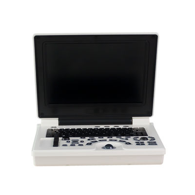 کیفیت  Clinic Doppler Portable Veterinary Ultrasound Machine Li Battery For Dog کارخانه