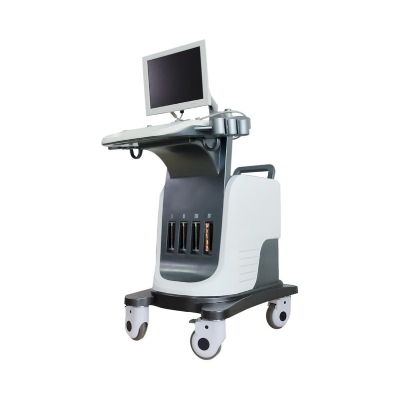 BPW Mobile Digital Color Doppler Ultrasound Display 15 in LED