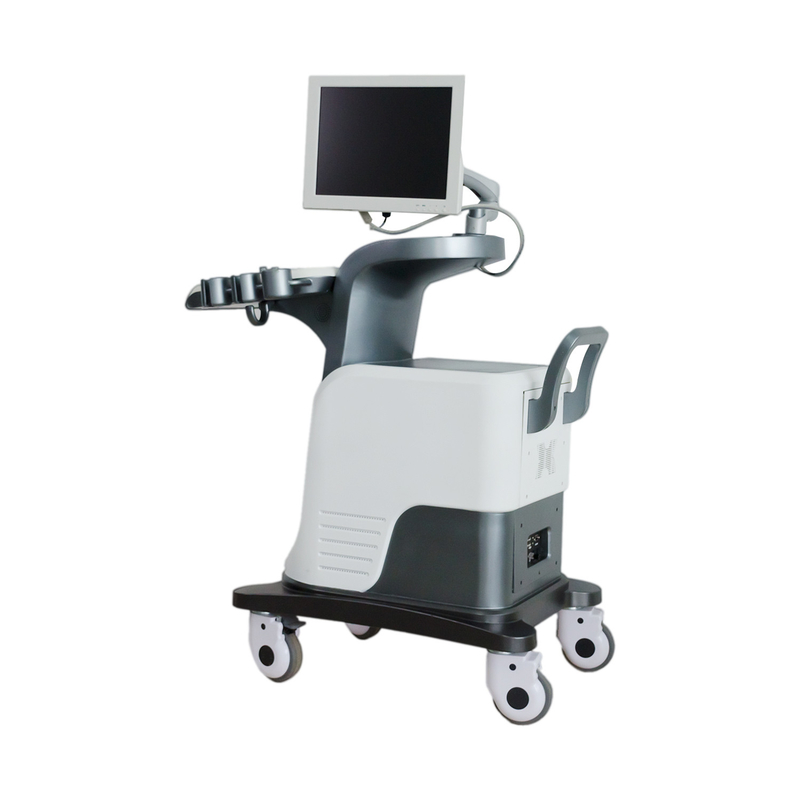 BPW Mobile Digital Color Doppler Ultrasound Display 15 in LED