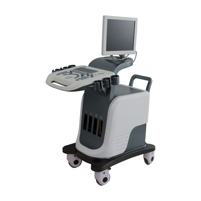 BPW Mobile Digital Color Doppler Ultrasound Display 15 in LED