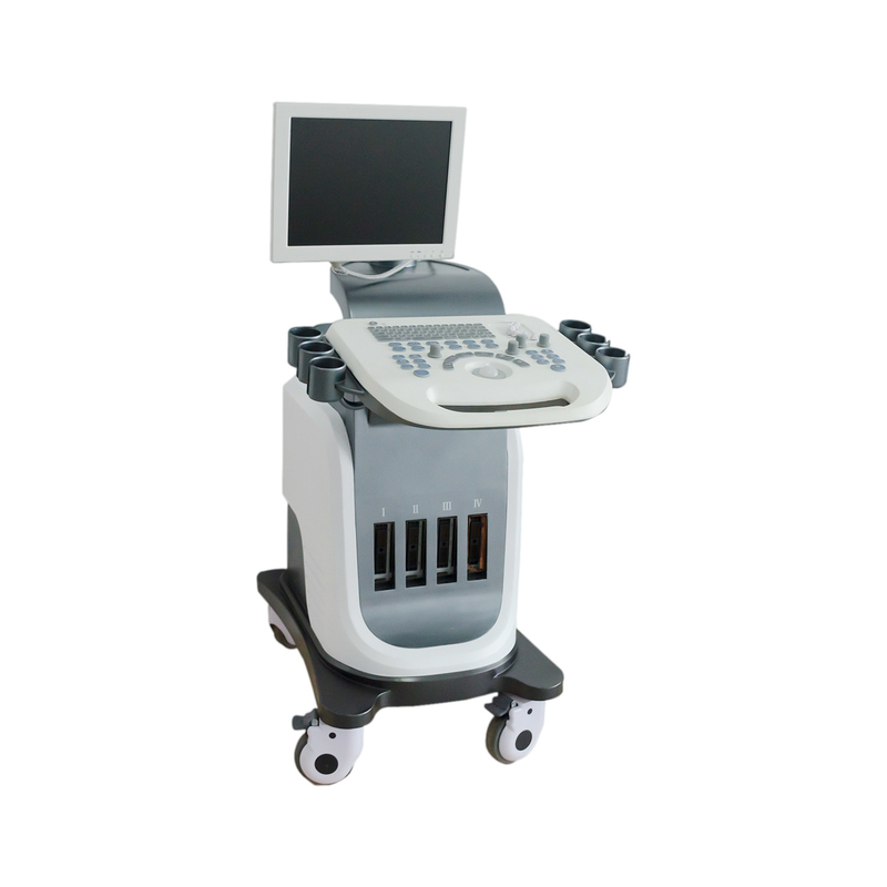 BPW Mobile Digital Color Doppler Ultrasound Display 15 in LED