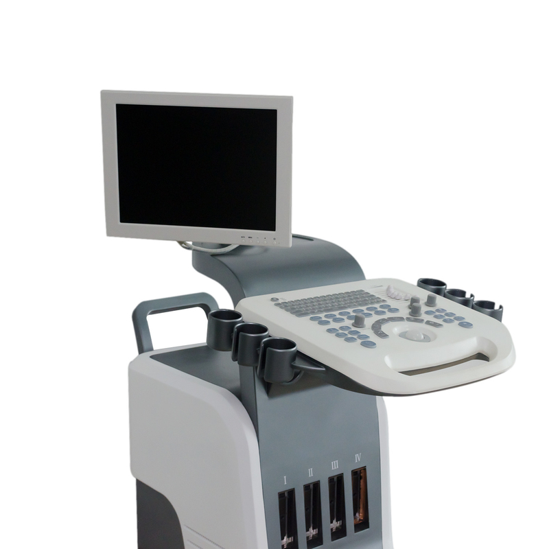 BPW Mobile Digital Color Doppler Ultrasound Display 15 in LED