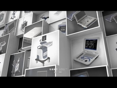 مشخصات شرکت